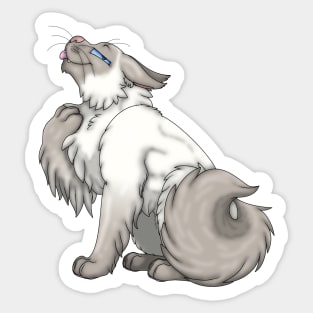 Fawn Point Longhair Sticker